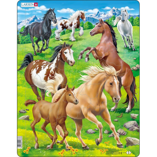 Dėlionė (puzzle) Arkliai (65)
