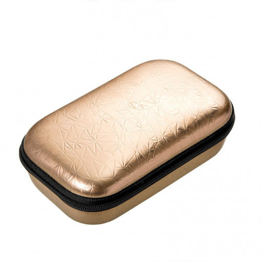 Penalas-pieštukinė ZIPIT Metallic Box, ZPP-MT1, Auksinė, vnt.