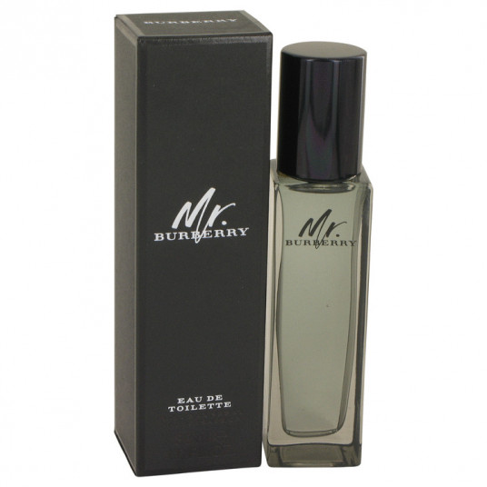  Burberry Mr EDT Spray 30 ml for Men 