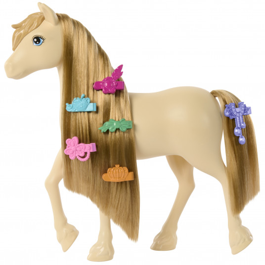 „Barbie Mysteries“ ponio rinkinys