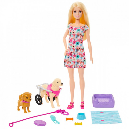 Doll Barbie and dog in a wheelchair