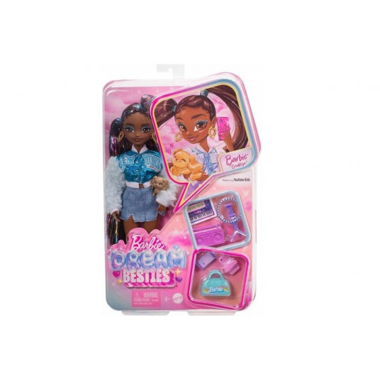 Barbie Doll Dream Besties Brooklyn HYC22 /4