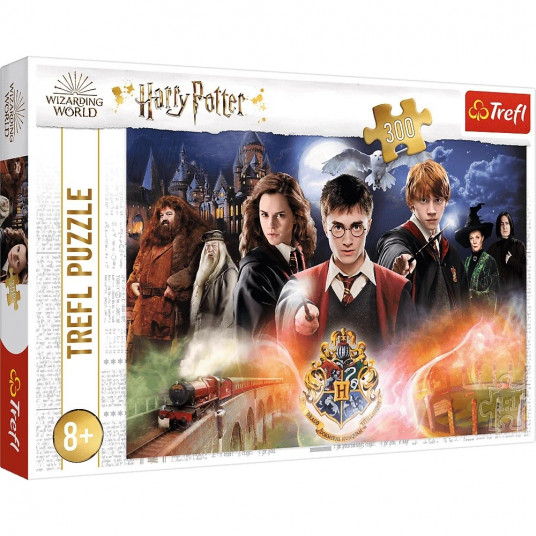 Puzzle 300 pcs Mysterious Harry Potter