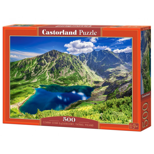 Puzzle 500 elements Black Pond Tatras Poland