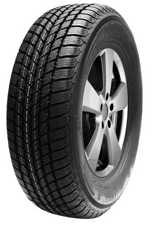Mastersteel Winter + 205/55 R16 91H