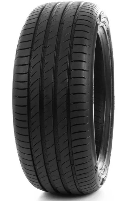 Delinte DS2 205/55 R16 91H