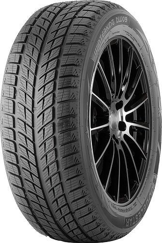 DOUBLESTAR DW09 235/55 R17 99T