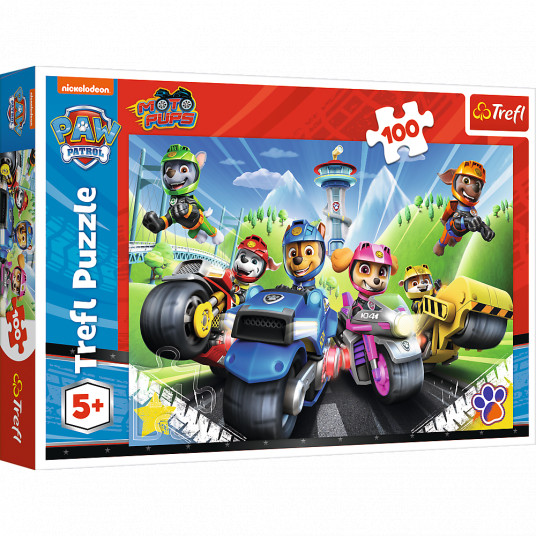 TREFL PAW PATROL dėlionė „Šuniukai-patruliai“, 100 det.