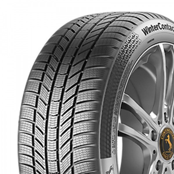 CONTINENTAL WinterContact TS870 P 245/45 R21 104V XL