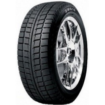 Goodride SW618 205/55 R16 91H