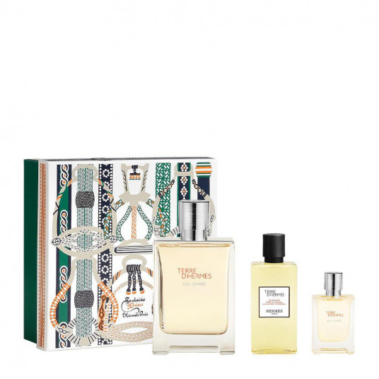  Hermès Hermes Terre Eau Givrée Epv 100ml Set Bc 