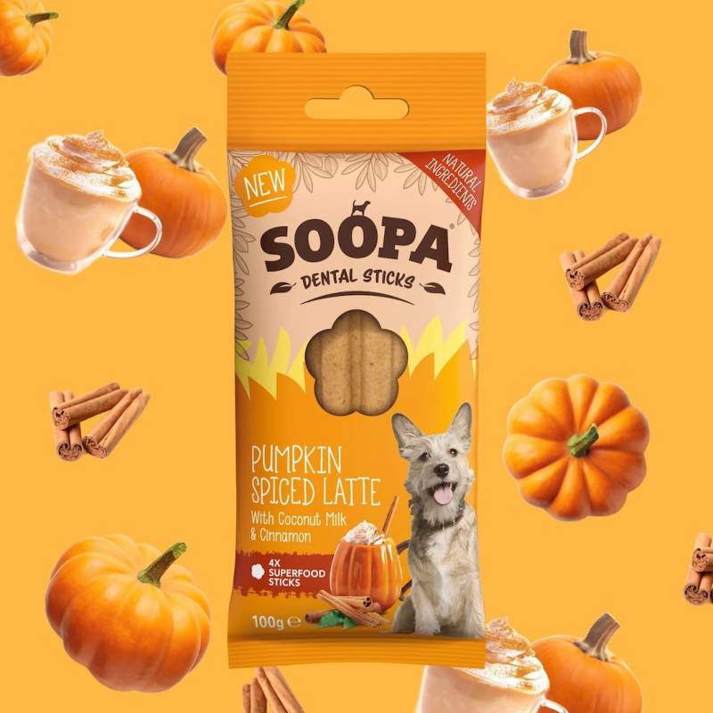 Pumpkin Spiced Latte Sticks lazdelės šunims