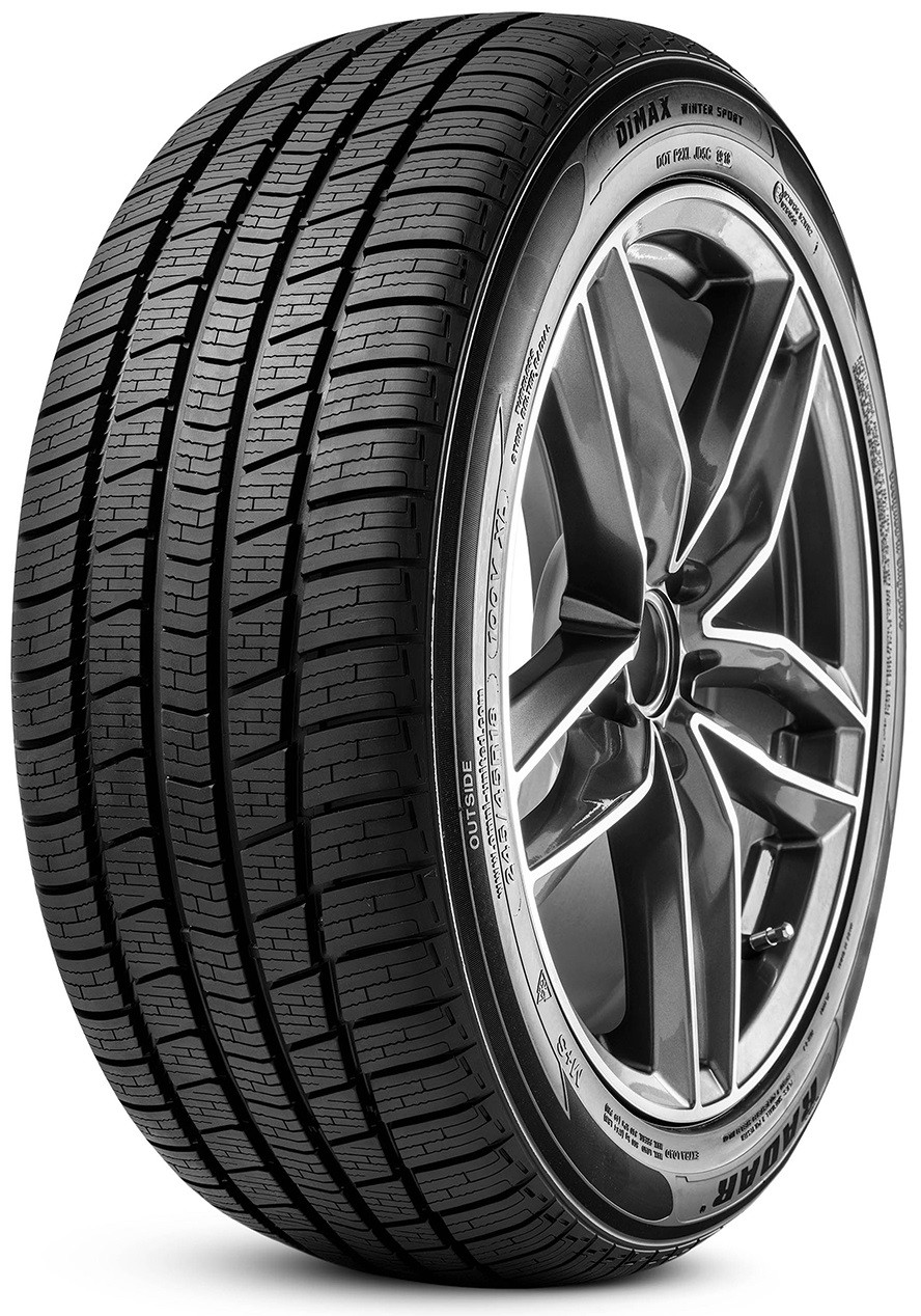 Radar Dimax Winter Sport 295/35 R21 107V XL