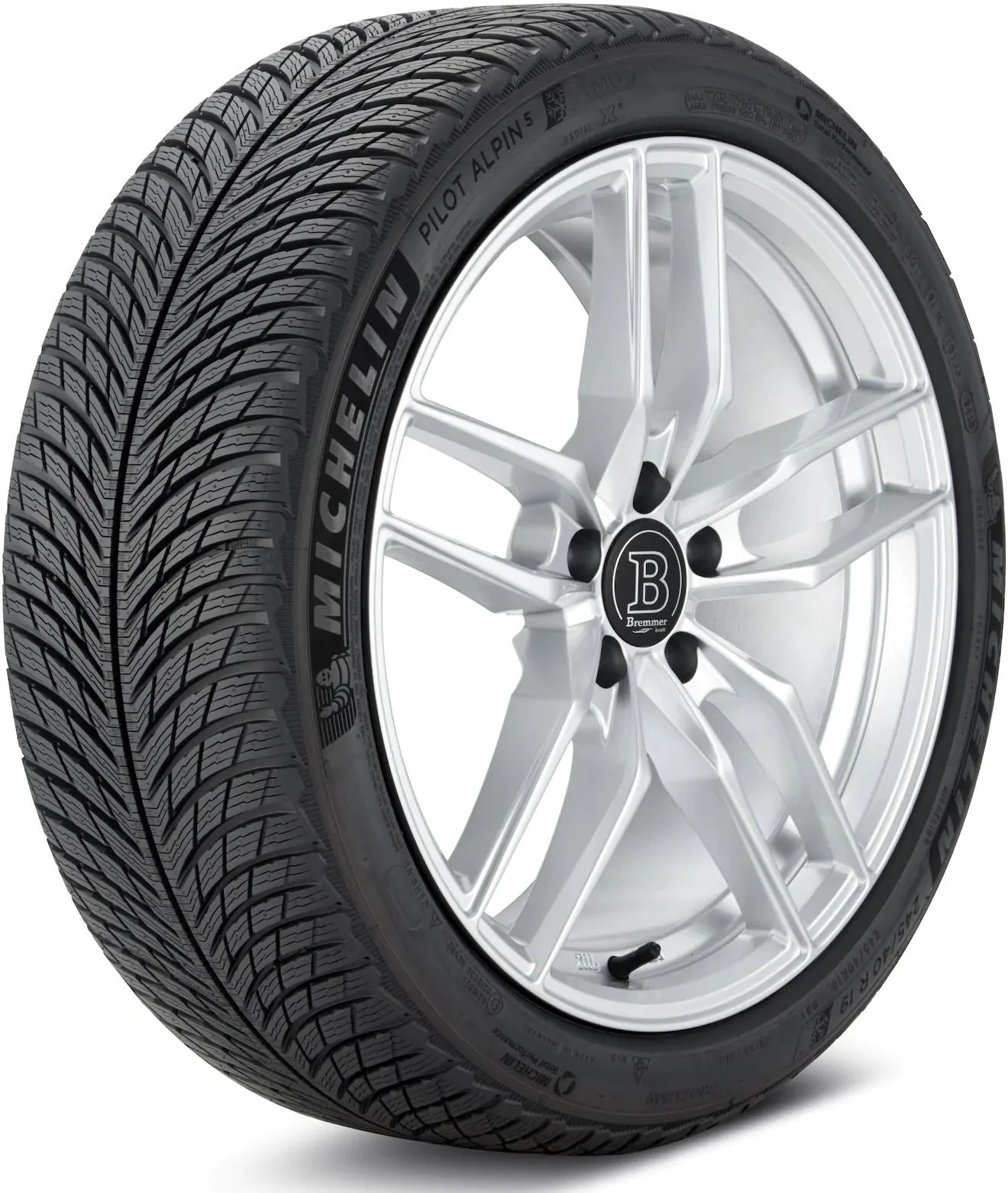 Michelin Pilot Alpin 5 295/30 R21 102W XL MO1 FSL