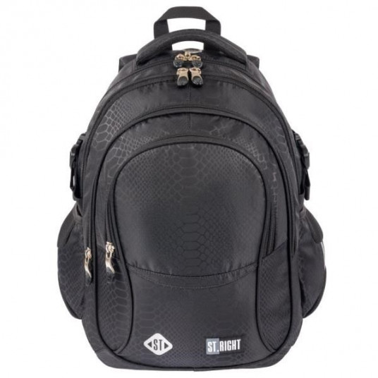 4-compartment backpack STRIGHT BP-01 Shiny snake