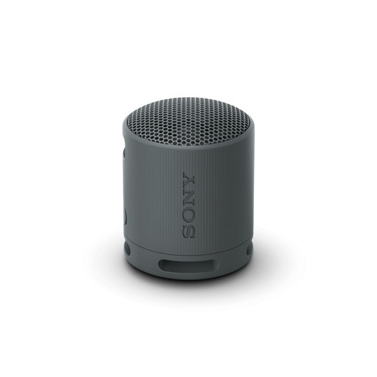 SONY SRS-XB100B Garso kolonėlė
