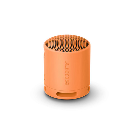  SONY SRS-XB100D Garso kolonėlė 
