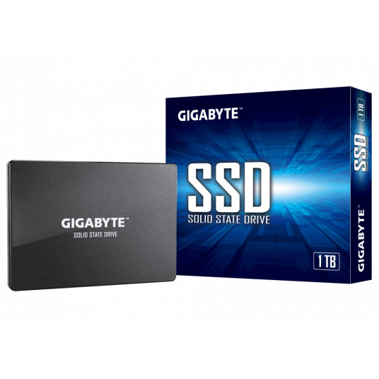  Gigabyte GP-GSTFS31100TNTD 1000 GB, SSD  