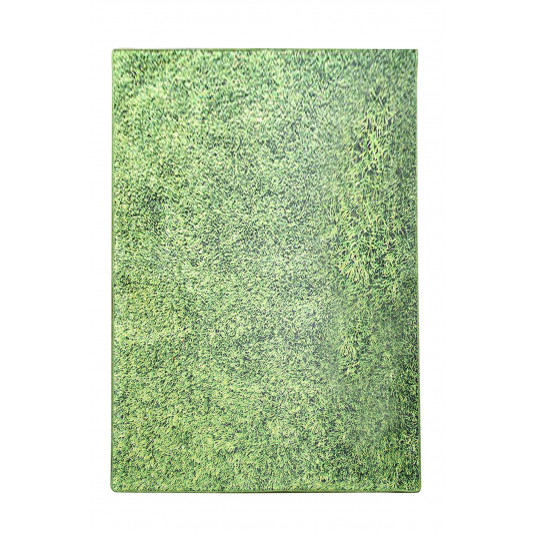  Kilimas (160 x 230) Conceptum Hypnose Grass - Daugiaspalvis 