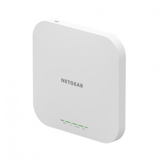  Netgear WAX610-100EUS 