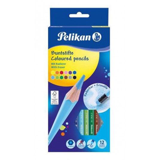Pieštukai spalvoti 12sp (ištrinami)