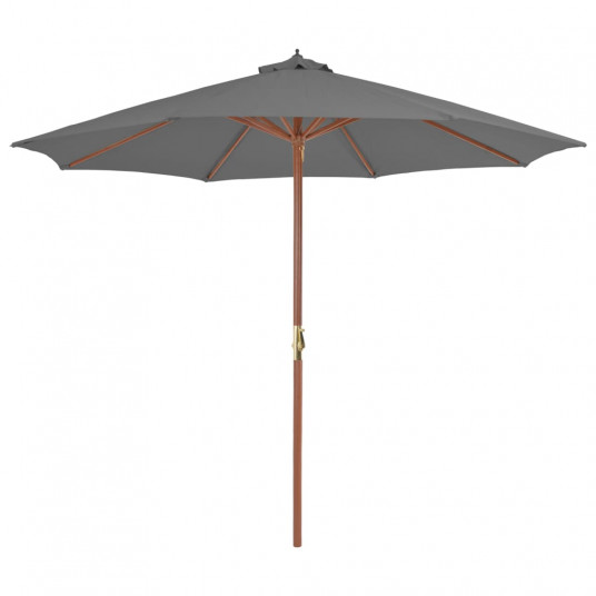 Lauko skėtis su mediniu stulpu, 300 cm, antracito spalvos