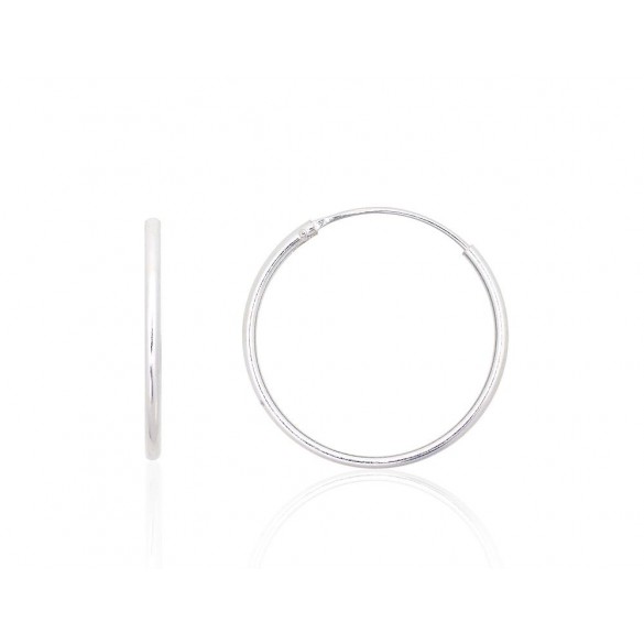 Sidabriniai auskarai –žiedai