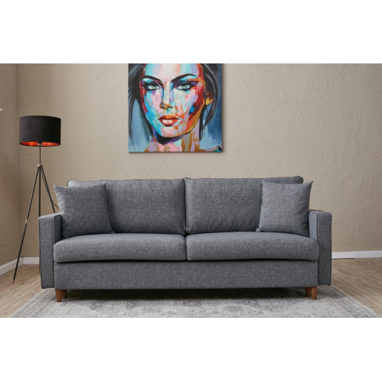 Sofa - lova Eva pilka