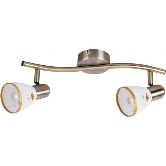  Lubinis šviestuvas RABALUX Art flower 6357 