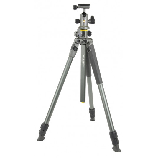  Vanguard Alta Pro2+ 263AB100 