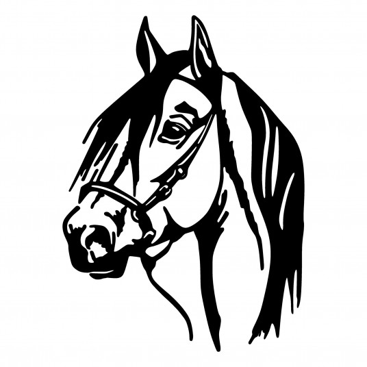  Metalinė dekoracija Wallxpert Horse Head - Juodas 