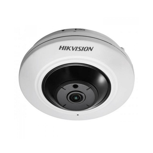  Hikvision IP camera DS-2CD2955FWD-IS FISH 