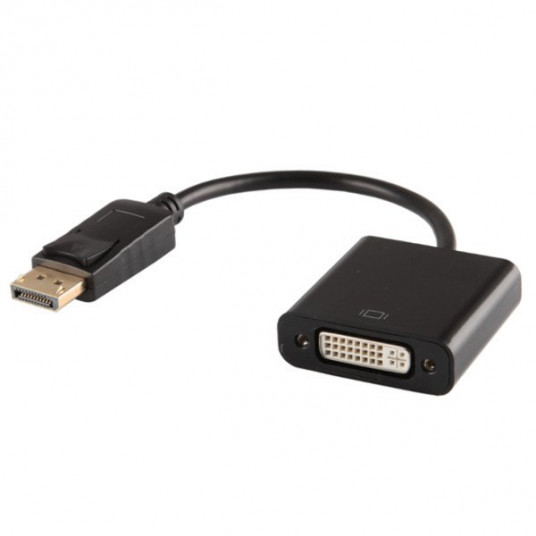  RoGer DisplayPort to DVI Video Adapter / 1080p 