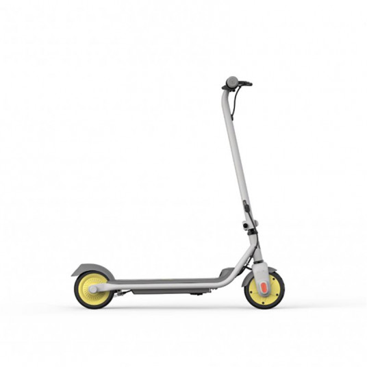 E-scooter Segway Zing C8