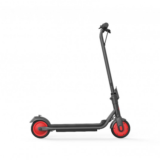E-scooter Segway Zing C20
